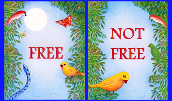 free not free covers