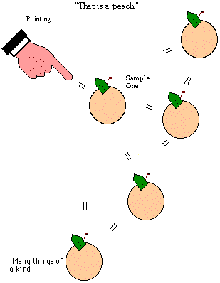 Figure 26. "That is a peach."