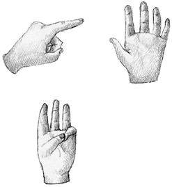 Figure 31. Counting on our fingers, we point out each finger in turn as the sample 'one.'