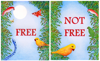 freenotfree1